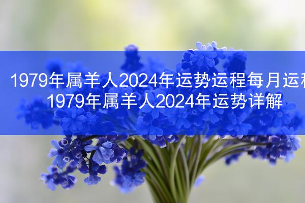 1979年属羊人2024年运势运程每月运程 1979年属羊人2024年运势详解