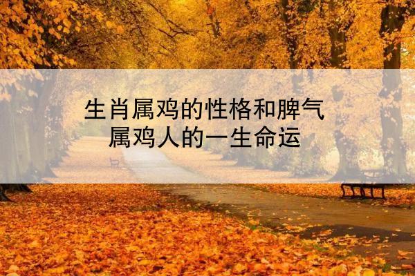 生肖属鸡的性格和脾气 属鸡人的一生命运