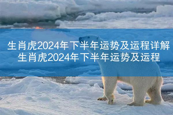 生肖虎2024年下半年运势及运程详解 生肖虎2024年下半年运势及运程