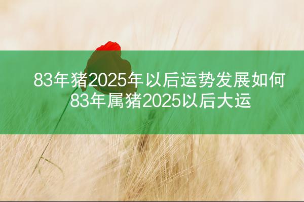83年猪2025年以后运势发展如何 83年属猪2025以后大运
