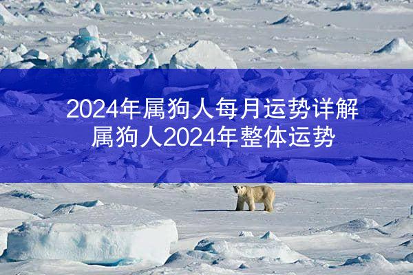 2024年属狗人每月运势详解 属狗人2024年整体运势