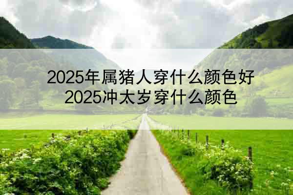 2025年属猪人穿什么颜色好 2025冲太岁穿什么颜色