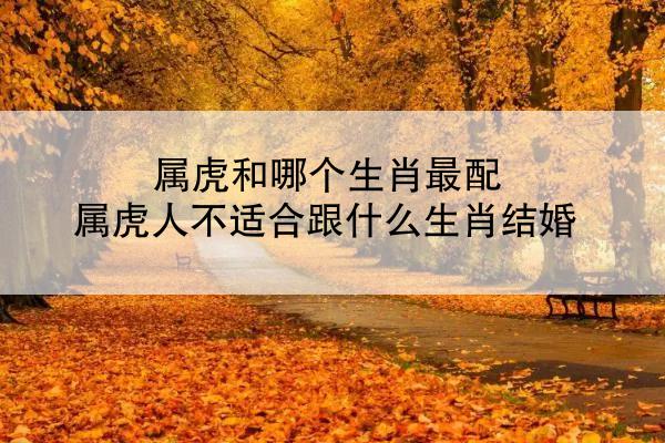 属虎和哪个生肖最配 属虎人不适合跟什么生肖结婚