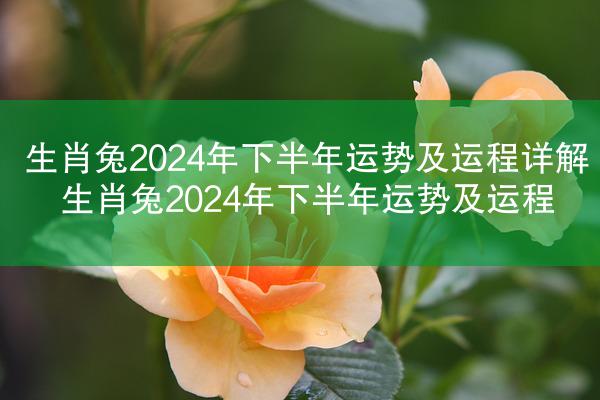 生肖兔2024年下半年运势及运程详解 生肖兔2024年下半年运势及运程