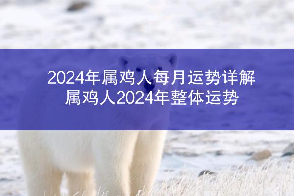 2024年属鸡人每月运势详解 属鸡人2024年整体运势