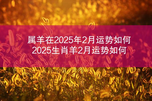 属羊在2025年2月运势如何 2025生肖羊2月运势如何