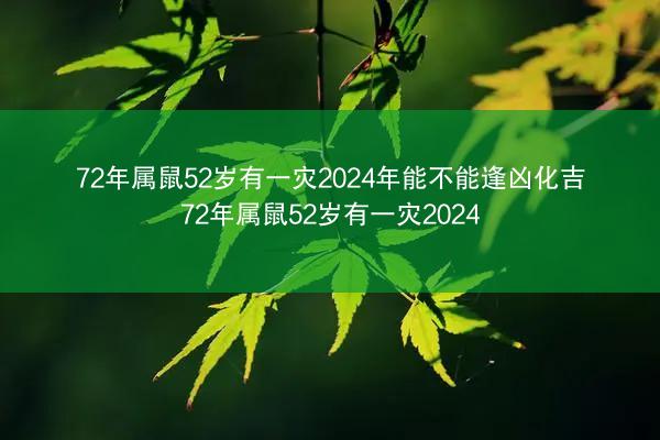 72年属鼠52岁有一灾2024年能不能逢凶化吉 72年属鼠52岁有一灾2024