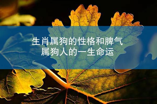 生肖属狗的性格和脾气 属狗人的一生命运