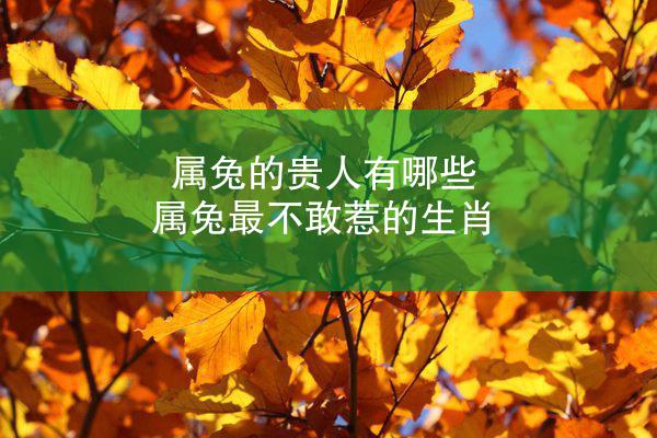 属兔的贵人有哪些 属兔最不敢惹的生肖