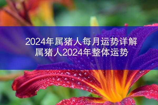 2024年属猪人每月运势详解 属猪人2024年整体运势