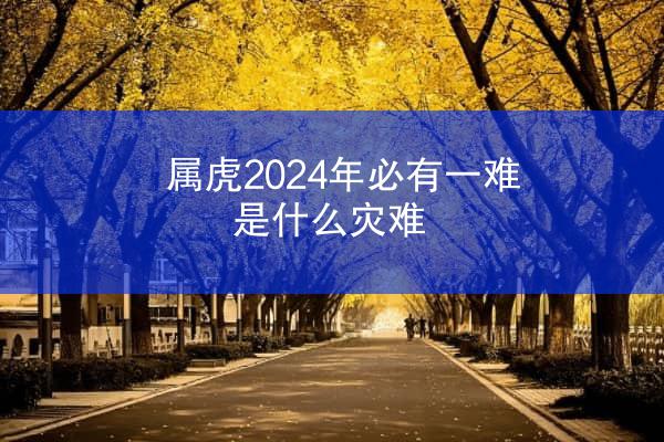 属虎2024年必有一难，是什么灾难