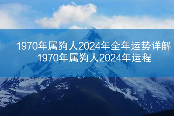 1970年属狗人2024年全年运势详解 1970年属狗人2024年运程