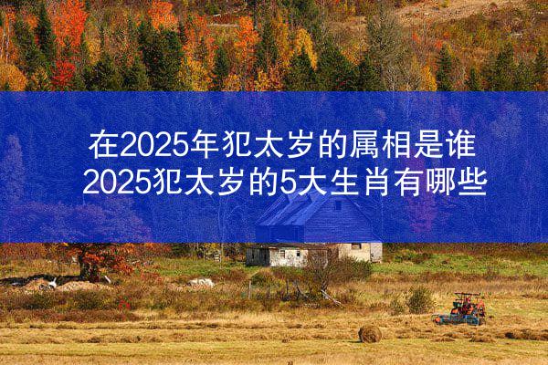 在2025年犯太岁的属相是谁 2025犯太岁的5大生肖有哪些