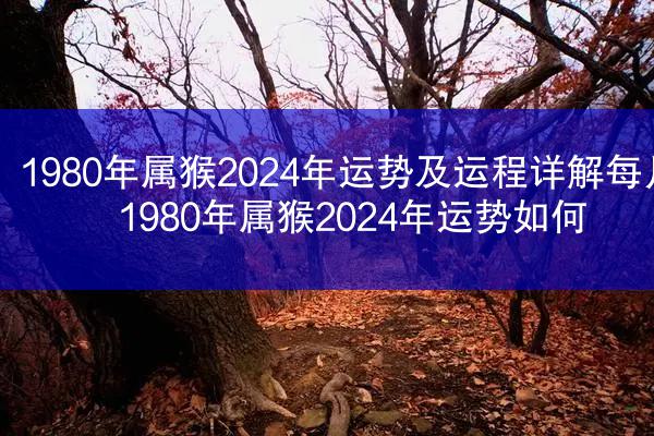 1980年属猴2024年运势及运程详解每月 1980年属猴2024年运势如何