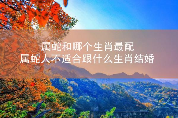 属蛇和哪个生肖最配 属蛇人不适合跟什么生肖结婚
