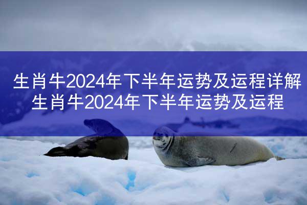 生肖牛2024年下半年运势及运程详解 生肖牛2024年下半年运势及运程