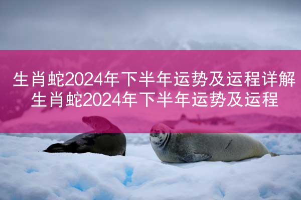 生肖蛇2024年下半年运势及运程详解 生肖蛇2024年下半年运势及运程