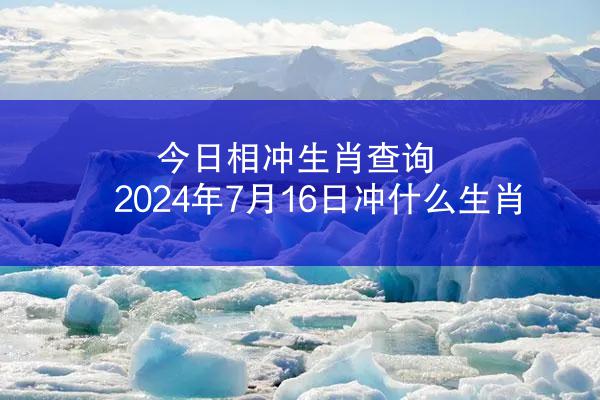 今日相冲生肖查询 2024年7月16日冲什么生肖