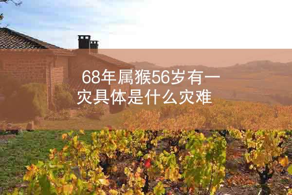 68年属猴56岁有一灾具体是什么灾难