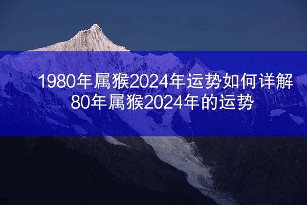 1980年属猴2024年运势如何详解 80年属猴2024年的运势
