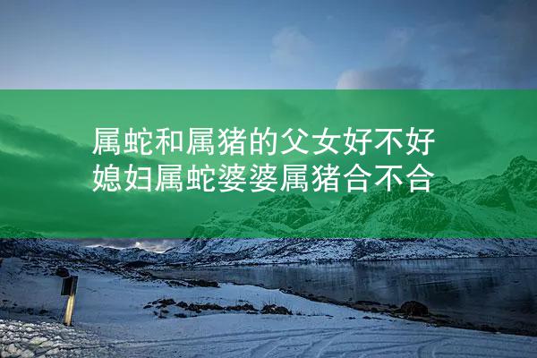 属蛇和属猪的父女好不好 媳妇属蛇婆婆属猪合不合
