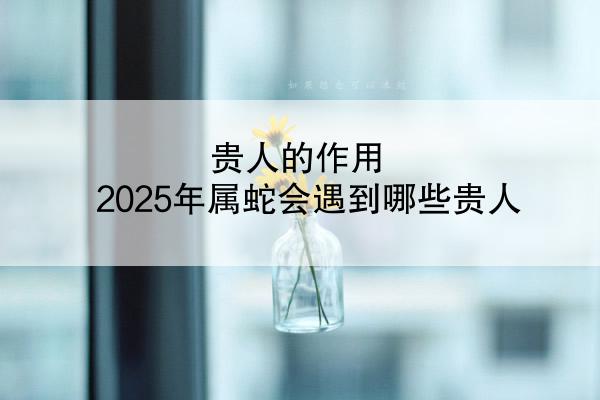 贵人的作用 2025年属蛇会遇到哪些贵人