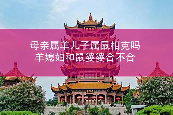 母亲属羊儿子属鼠相克吗 羊媳妇和鼠婆婆合不合