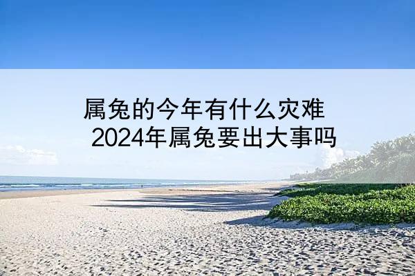 属兔的今年有什么灾难 2024年属兔要出大事吗