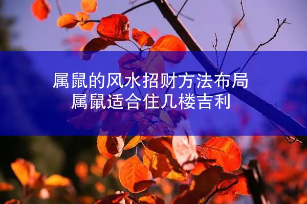 属鼠的风水招财方法布局 属鼠适合住几楼吉利