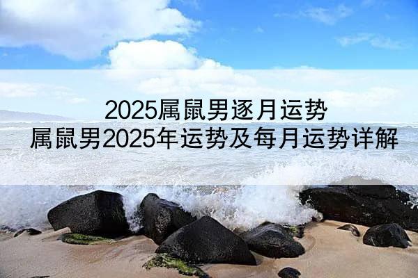 2025属鼠男逐月运势 属鼠男2025年运势及每月运势详解