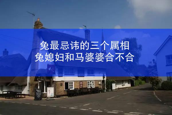 兔最忌讳的三个属相 兔媳妇和马婆婆合不合