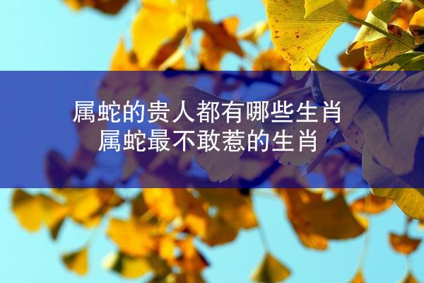 属蛇的贵人都有哪些生肖 属蛇最不敢惹的生肖