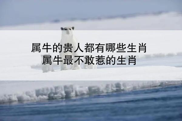 属牛的贵人都有哪些生肖 属牛最不敢惹的生肖