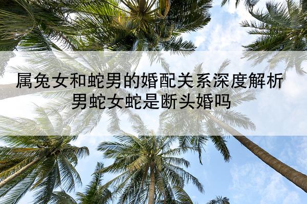 属兔女和蛇男的婚配关系深度解析 男蛇女蛇是断头婚吗