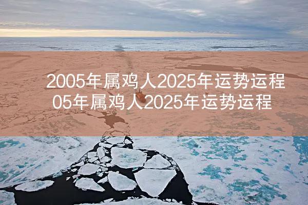 2005年属鸡人2025年运势运程 05年属鸡人2025年运势运程