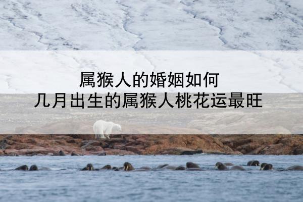 属猴人的婚姻如何 几月出生的属猴人桃花运最旺