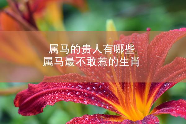 属马的贵人有哪些 属马最不敢惹的生肖