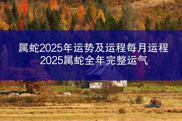 属蛇2025年运势及运程每月运程 2025属蛇全年完整运气