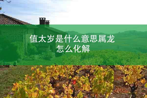 值太岁是什么意思属龙怎么化解