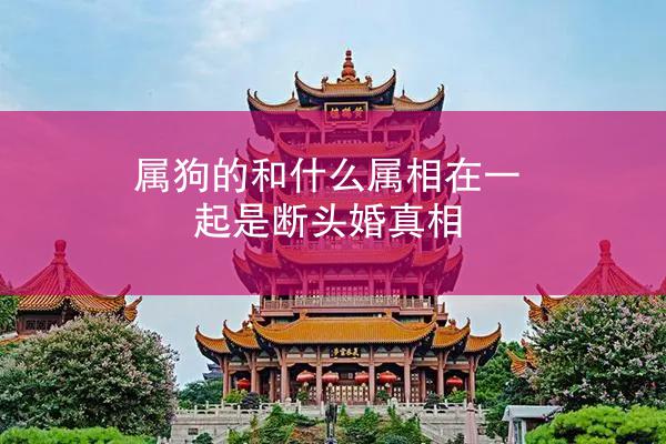 属狗的和什么属相在一起是断头婚真相