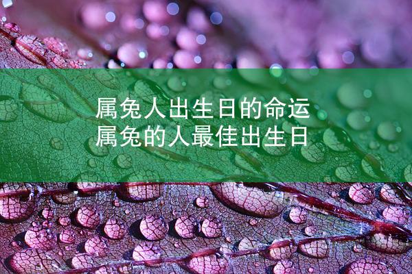 属兔人出生日的命运 属兔的人最佳出生日