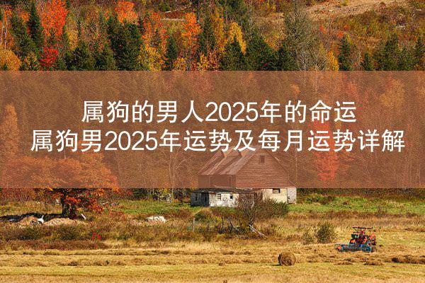 属狗的男人2025年的命运 属狗男2025年运势及每月运势详解