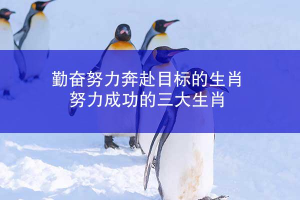 勤奋努力奔赴目标的生肖 努力成功的三大生肖