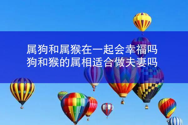 属狗和属猴在一起会幸福吗 狗和猴的属相适合做夫妻吗