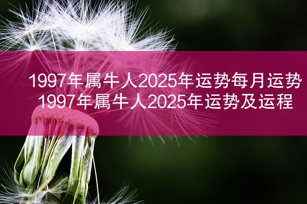 1997年属牛人2025年运势每月运势 1997年属牛人2025年运势及运程