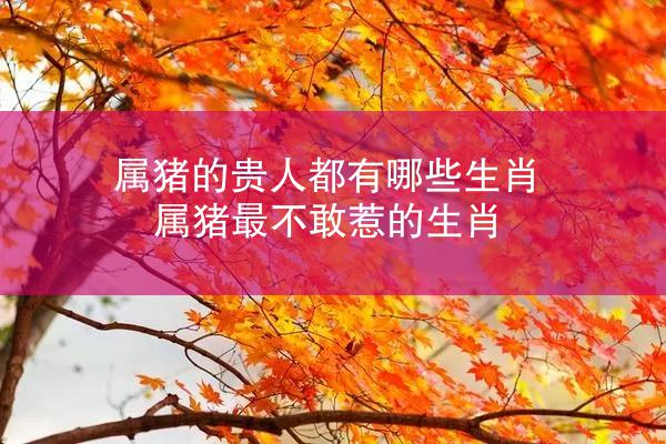 属猪的贵人都有哪些生肖 属猪最不敢惹的生肖