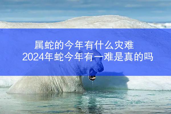 属蛇的今年有什么灾难 2024年蛇今年有一难是真的吗