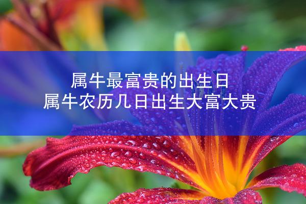 属牛最富贵的出生日 属牛农历几日出生大富大贵