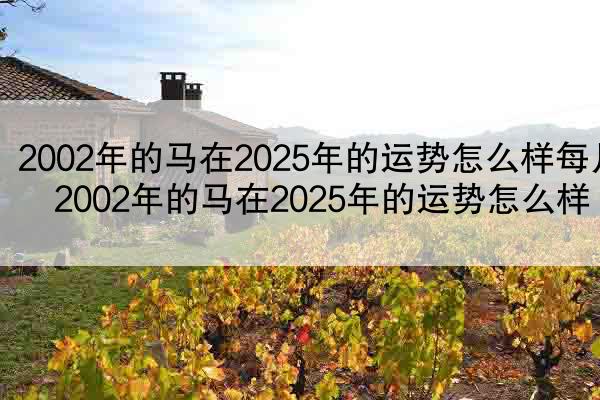 2002年的马在2025年的运势怎么样每月 2002年的马在2025年的运势怎么样
