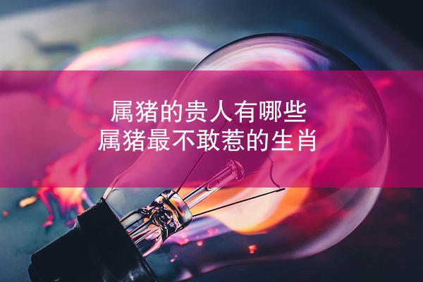 属猪的贵人有哪些 属猪最不敢惹的生肖